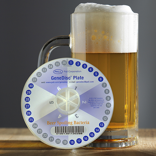 精酿啤酒厂- GeneDisc®啤酒腐败菌 product photo
