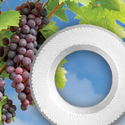 Oenopure™葡萄酒终滤用滤芯 product photo