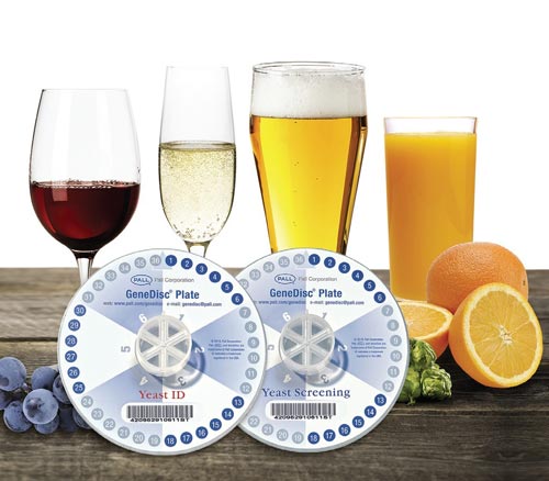 Craft Breweries - GeneDisc® Technologies - Yeast Detection and Identification product photo