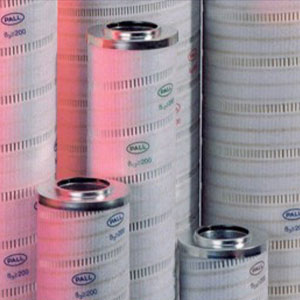 Ultipor® III Filter Element product photo