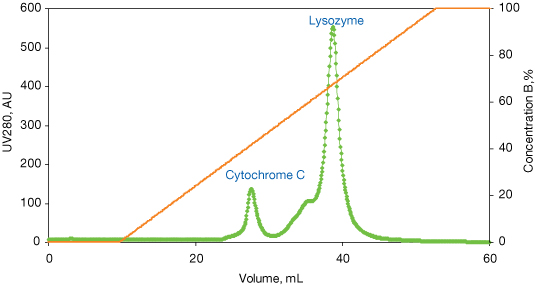 Separation of Lysozyme and Cytochrome C on Mustang S XT Acrodisc Unit